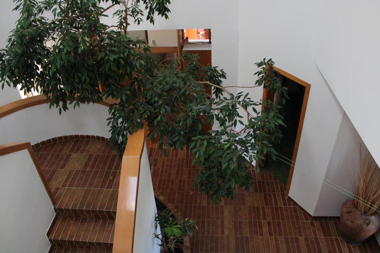 Villa De L'Ebre Deltebre Luaran gambar